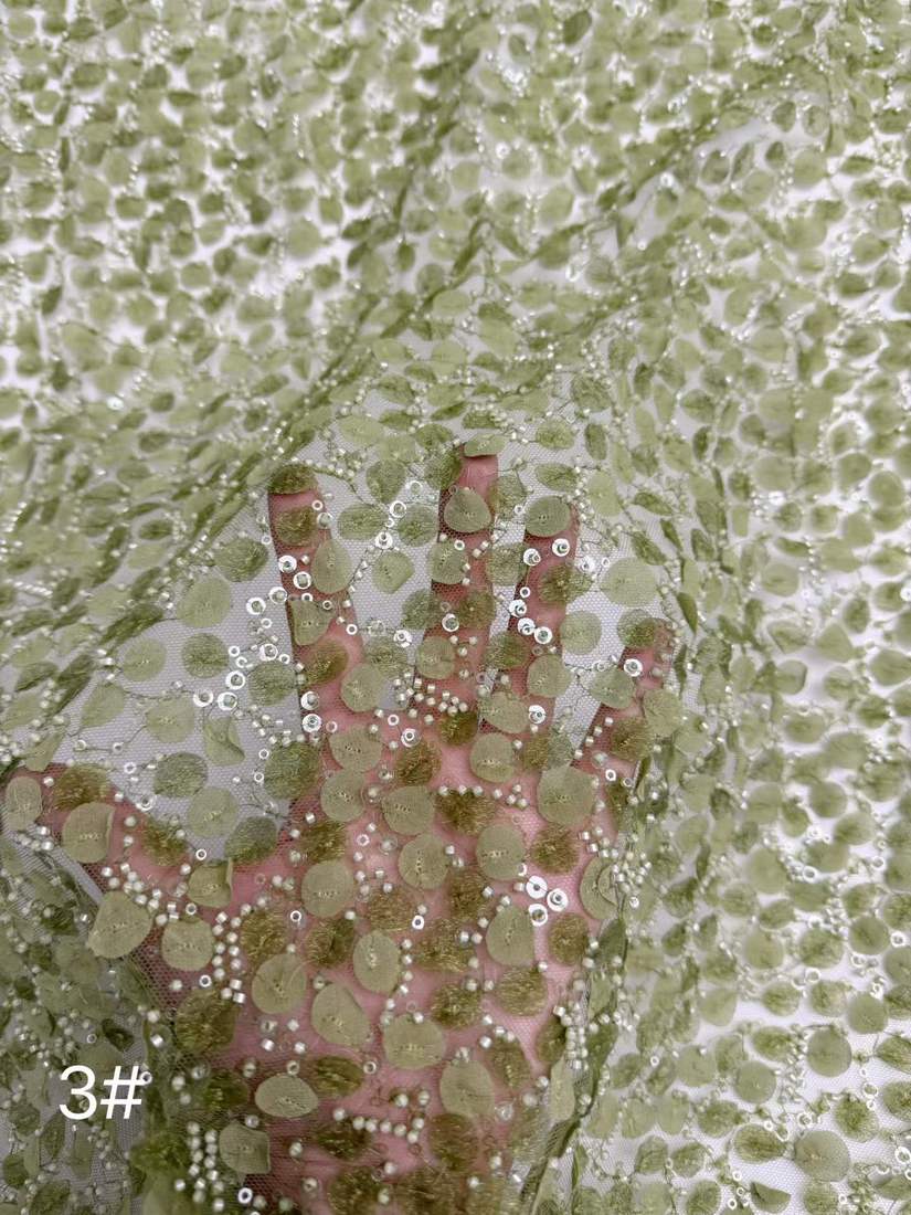 Embroidered Lace — HX-4056 — عرض 5