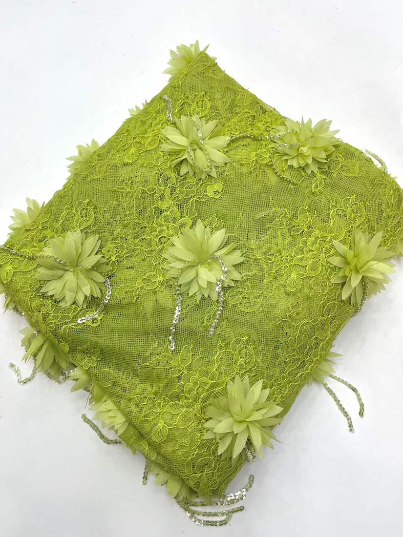 Embroidered Lace — PX-1134 — عرض 4