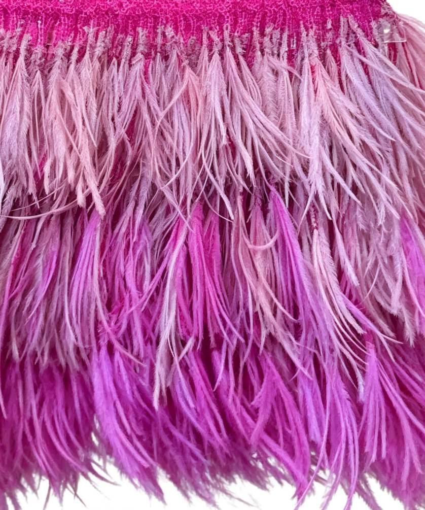 Feather Fringe Trim — YMW-802 — عرض 4