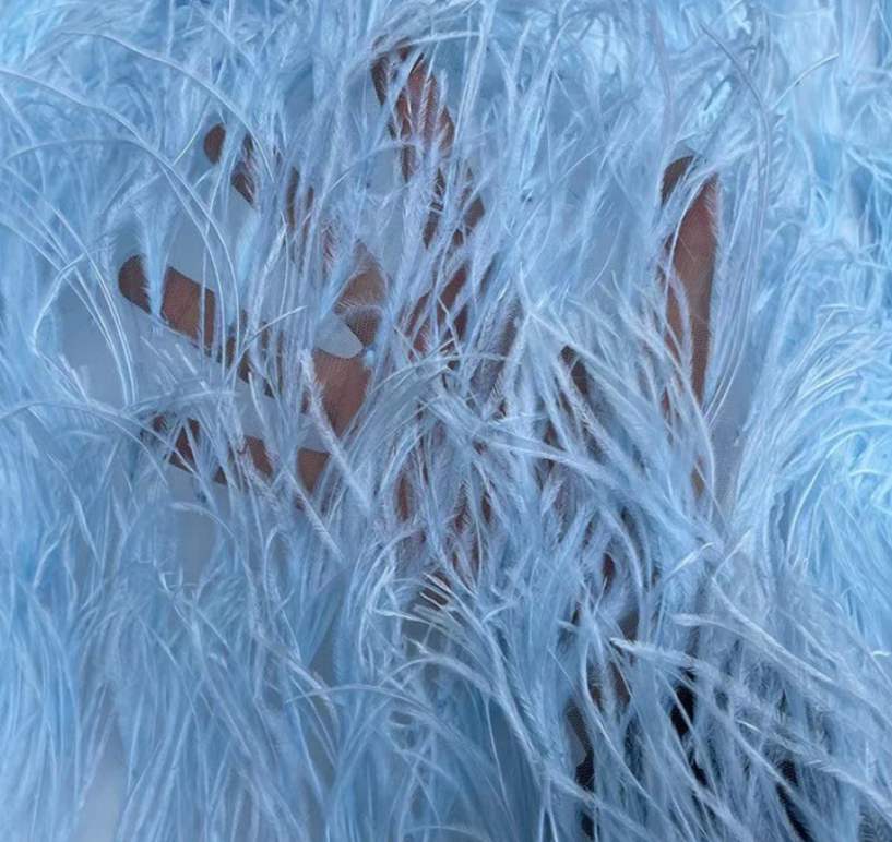 Feather Fringe Trim — YMW-YMW004 — عرض 4