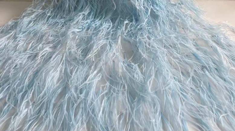 Feather Fringe Trim — YMW-YMW004 — عرض 7