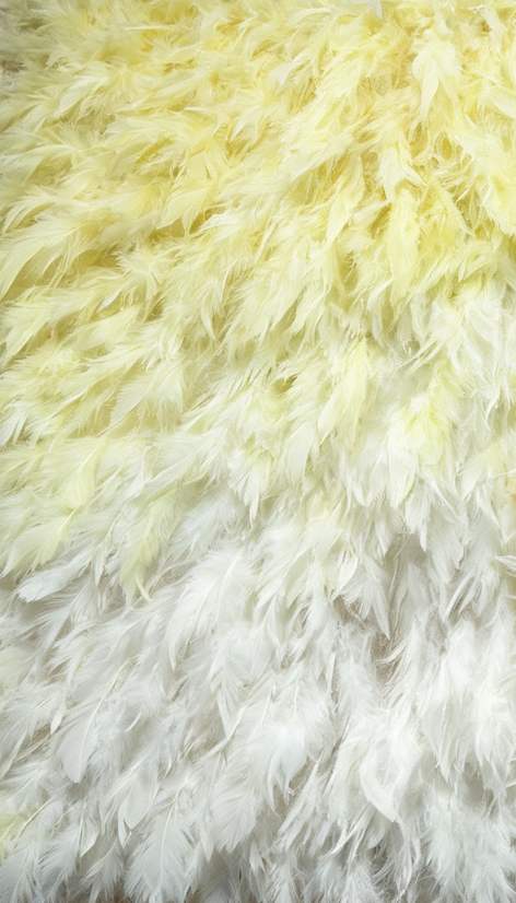 Feather Fringe Trim — YMW-YMW022 — عرض 5
