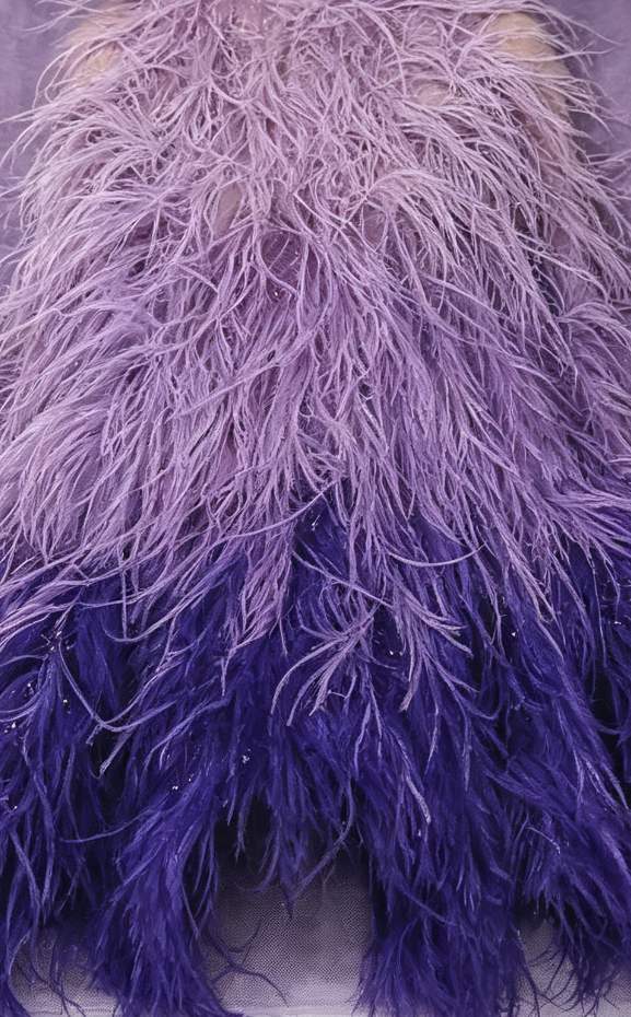 Feather Fringe Trim — YMW-YMW023 — عرض 4