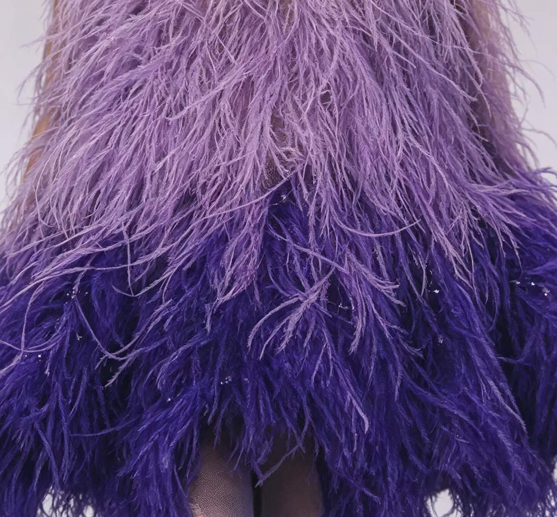 Feather Fringe Trim — YMW-YMW023 — عرض 5